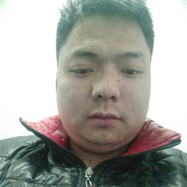 贪玩豆芽的照片