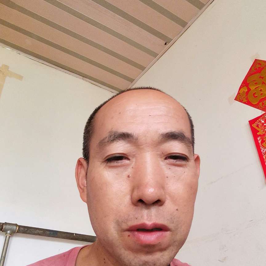 白猫愿活力的照片