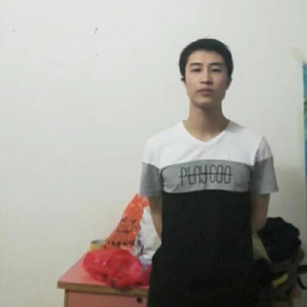 自然蹁跹小刺猬的照片