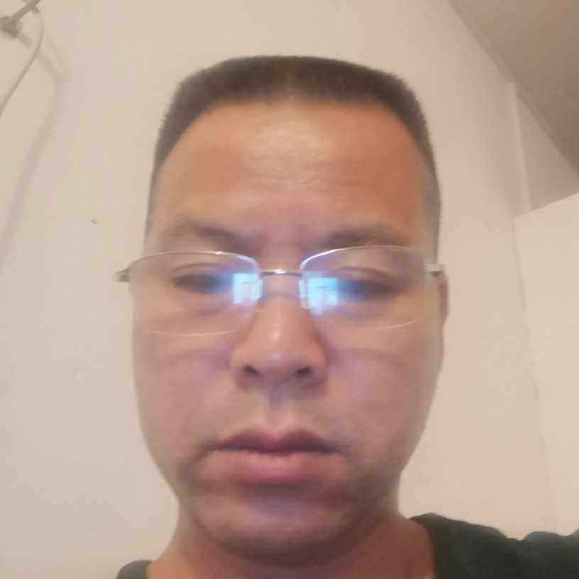 坚强的风的照片