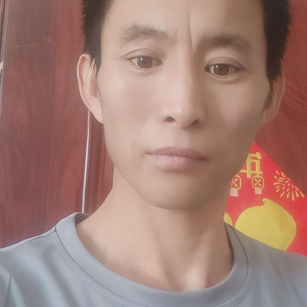 鸡翅漫步美丽的照片