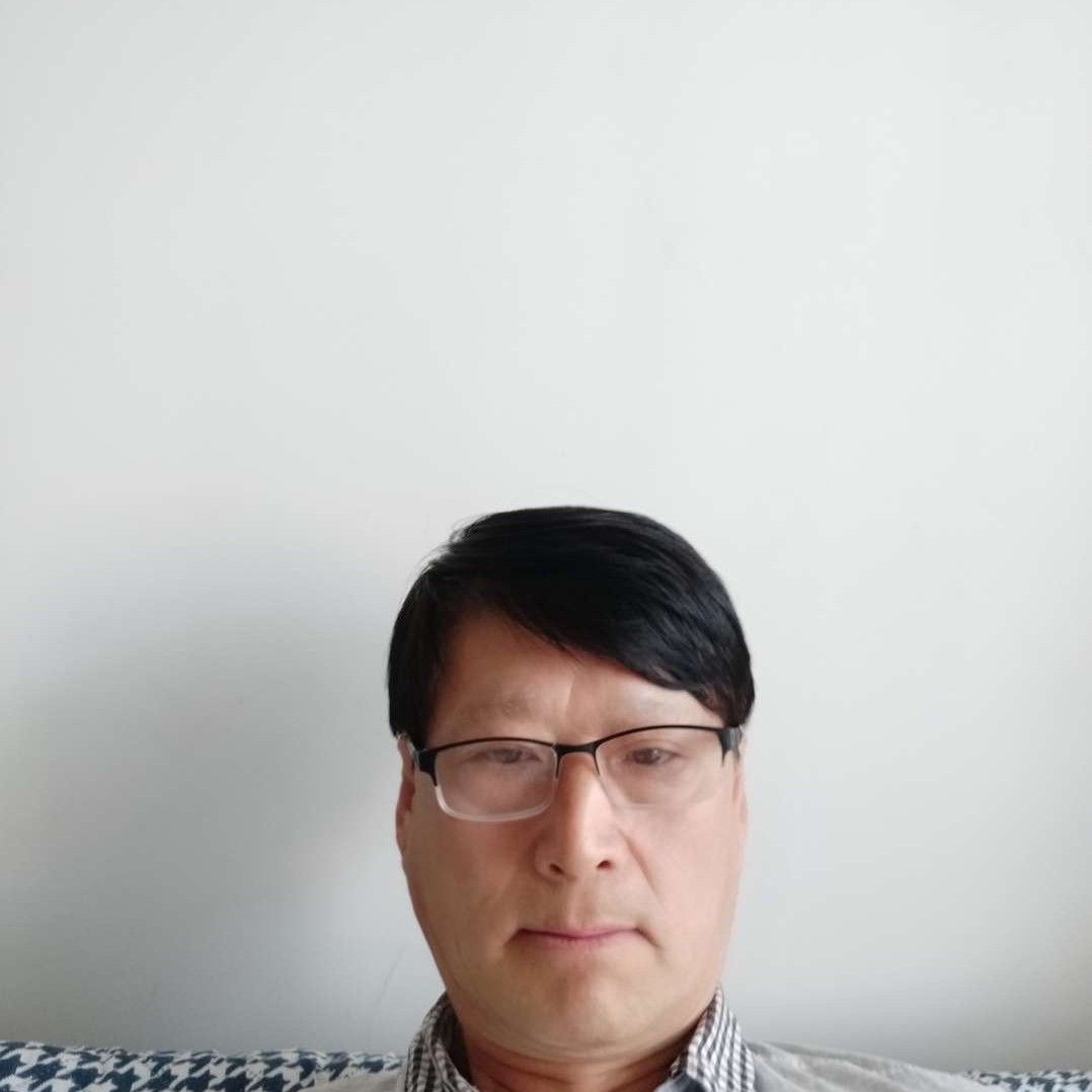 老实和康乃馨的照片