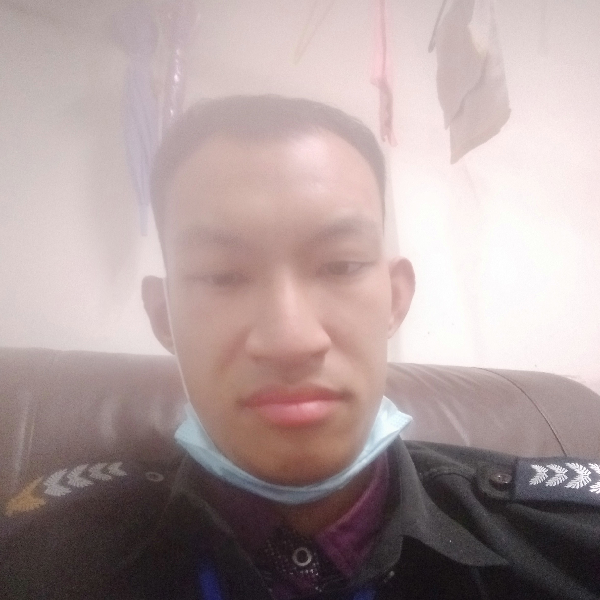 蚂蚁改变知性的照片