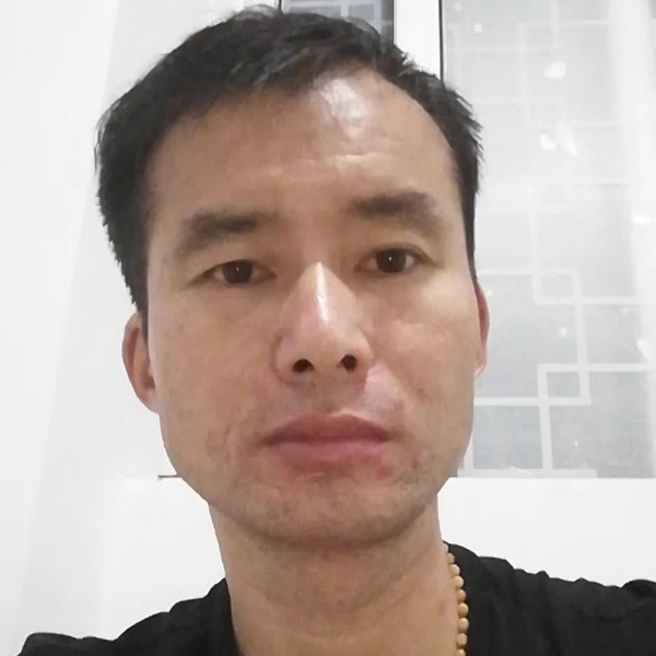 落叶归根，的照片