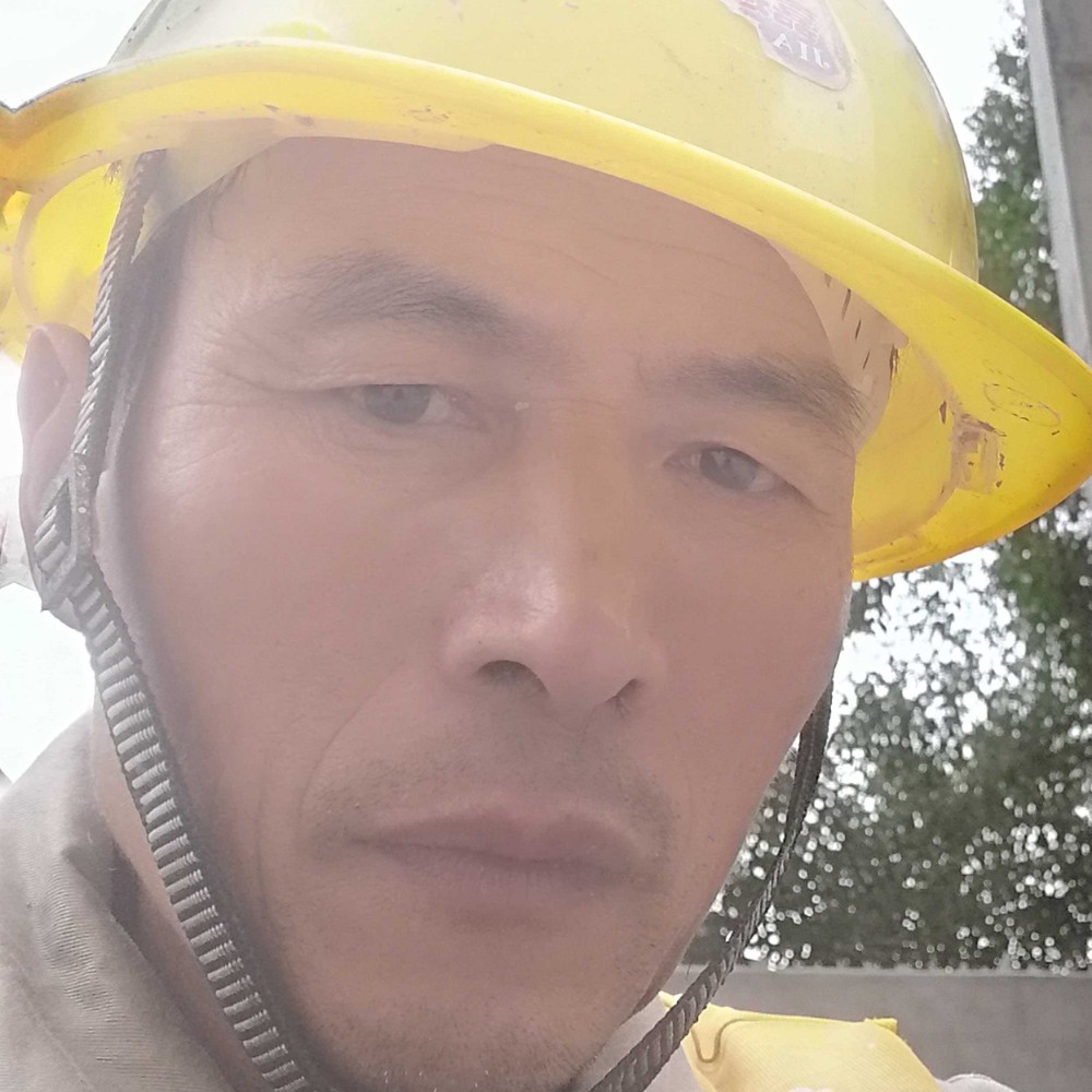 合适請灰狼的照片