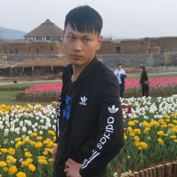 靓丽惊鸿的照片