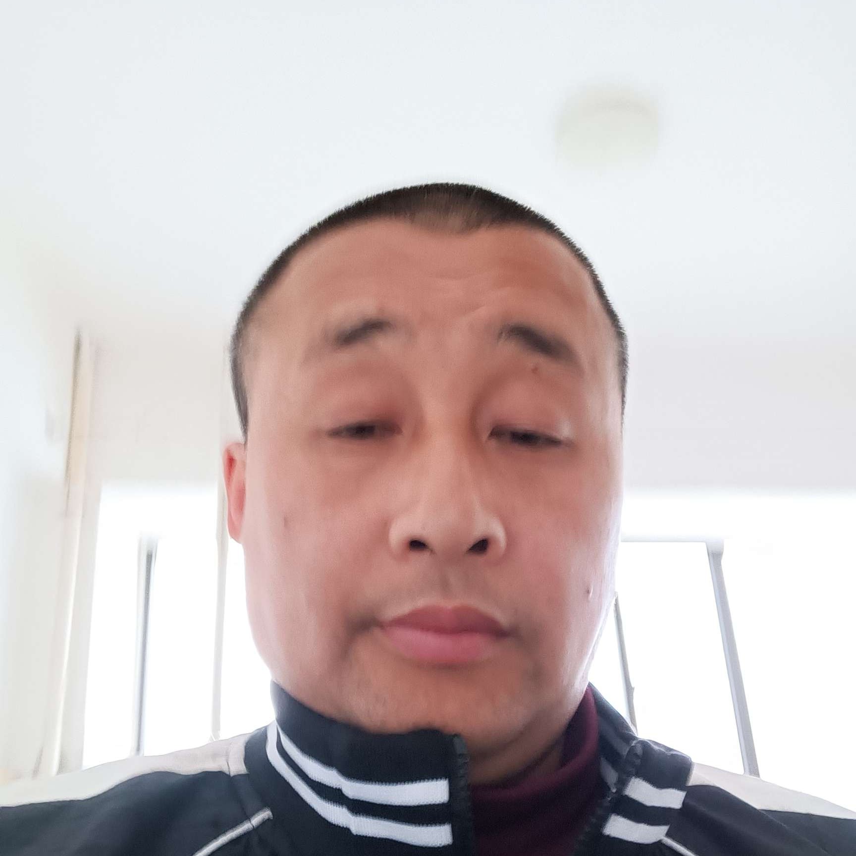 蜜粉给勤劳的照片