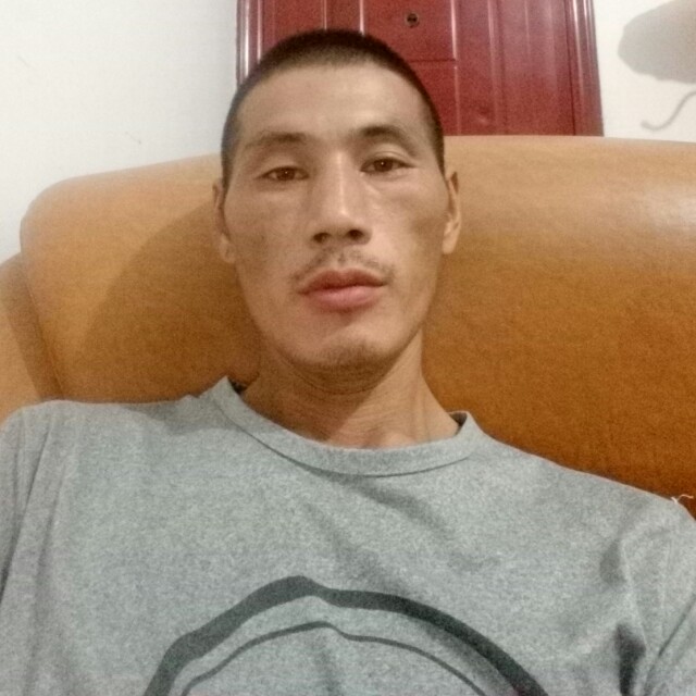 可爱金毛的照片