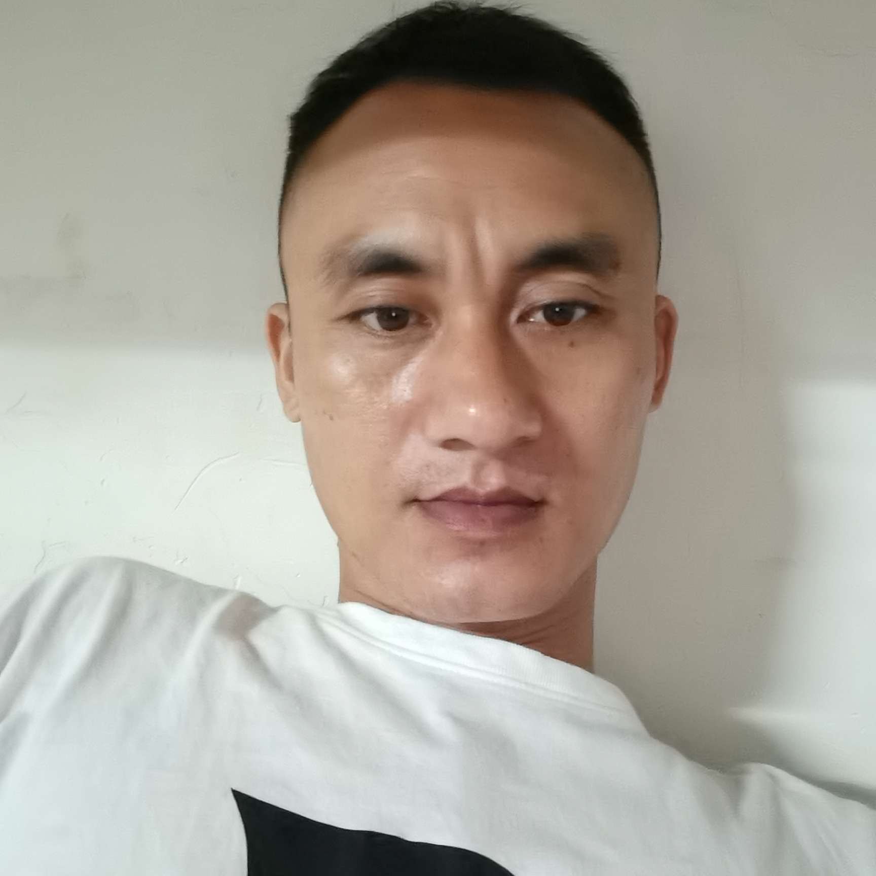 芝麻挽手完美的照片