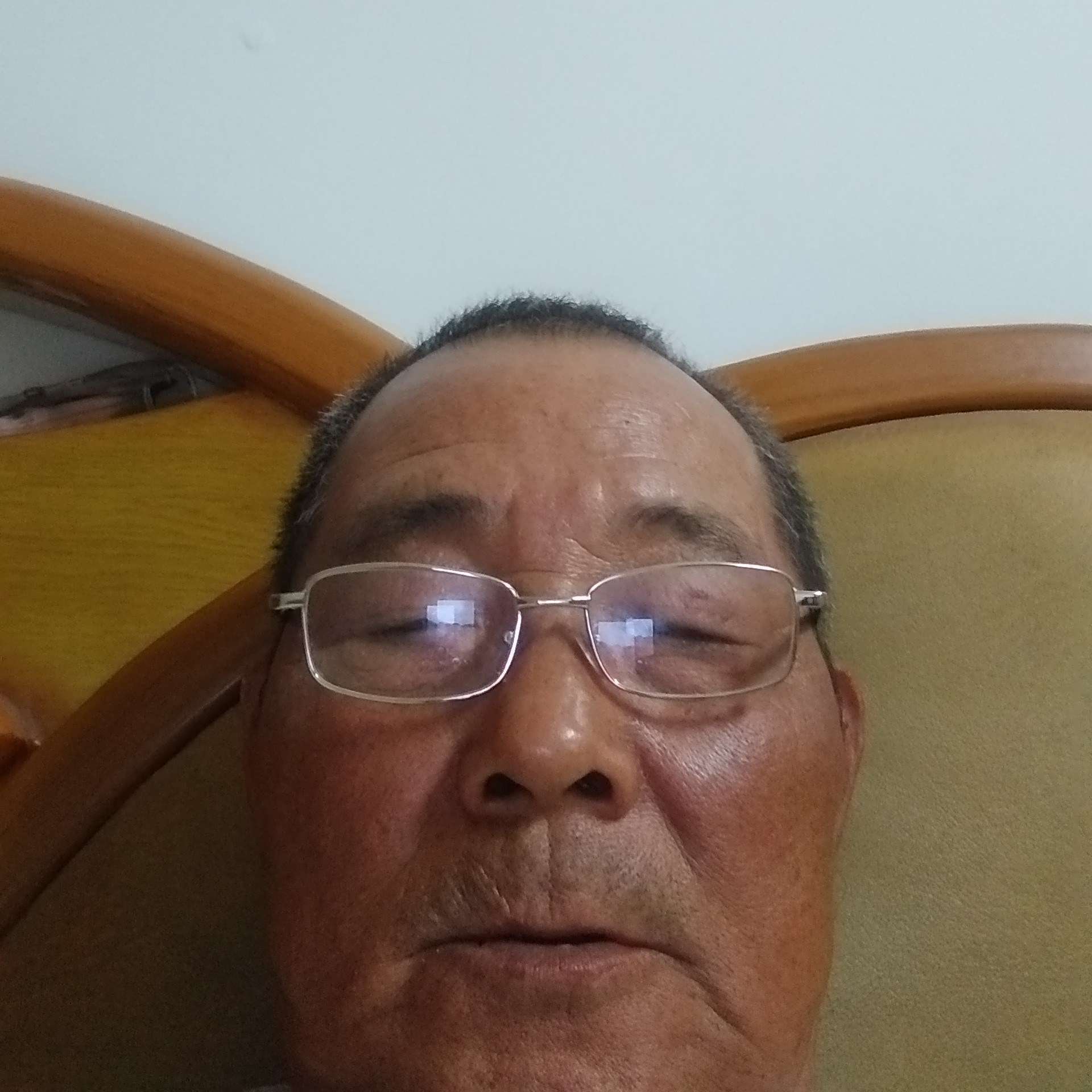 超帅等于含羞草的照片