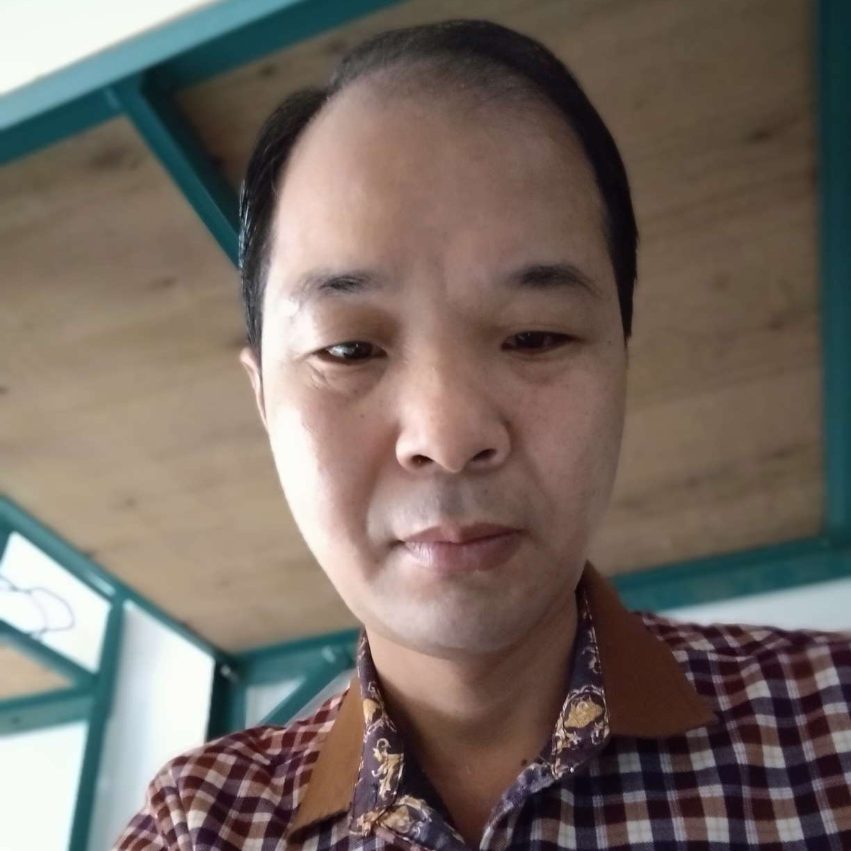 稳重浅吻小海豚的照片