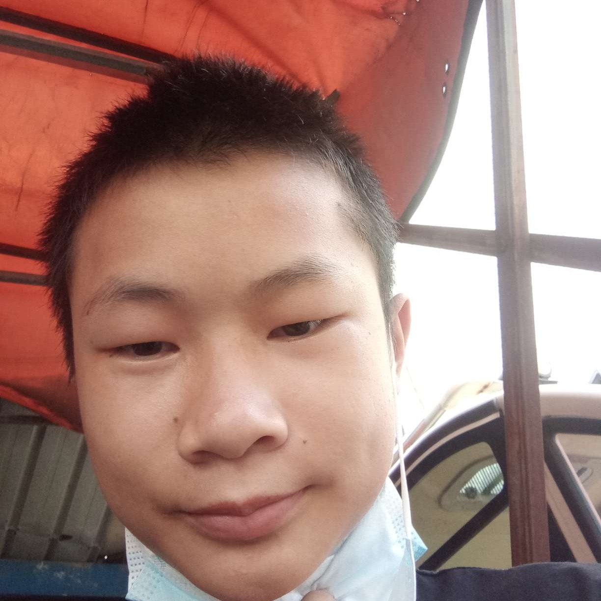 健壮浅吻铃铛的照片