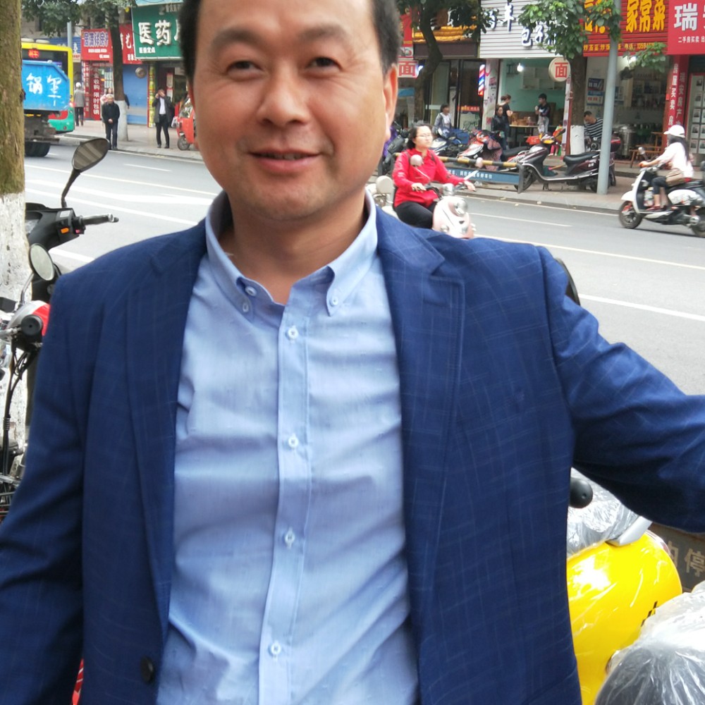 大象善良的照片