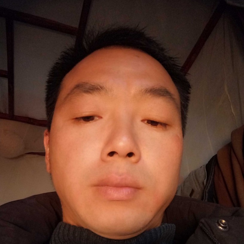 简单的虎的照片