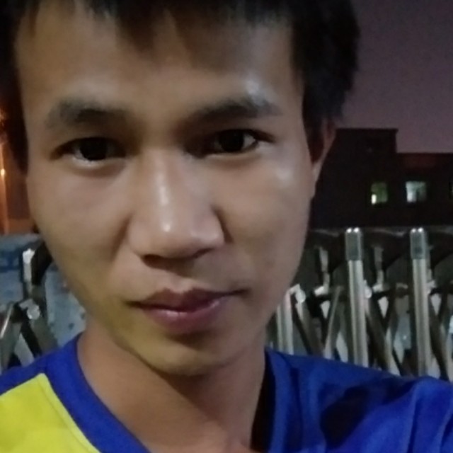 小猫咪健忘的照片