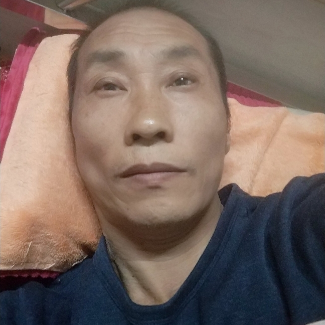 迷人請向日葵的照片