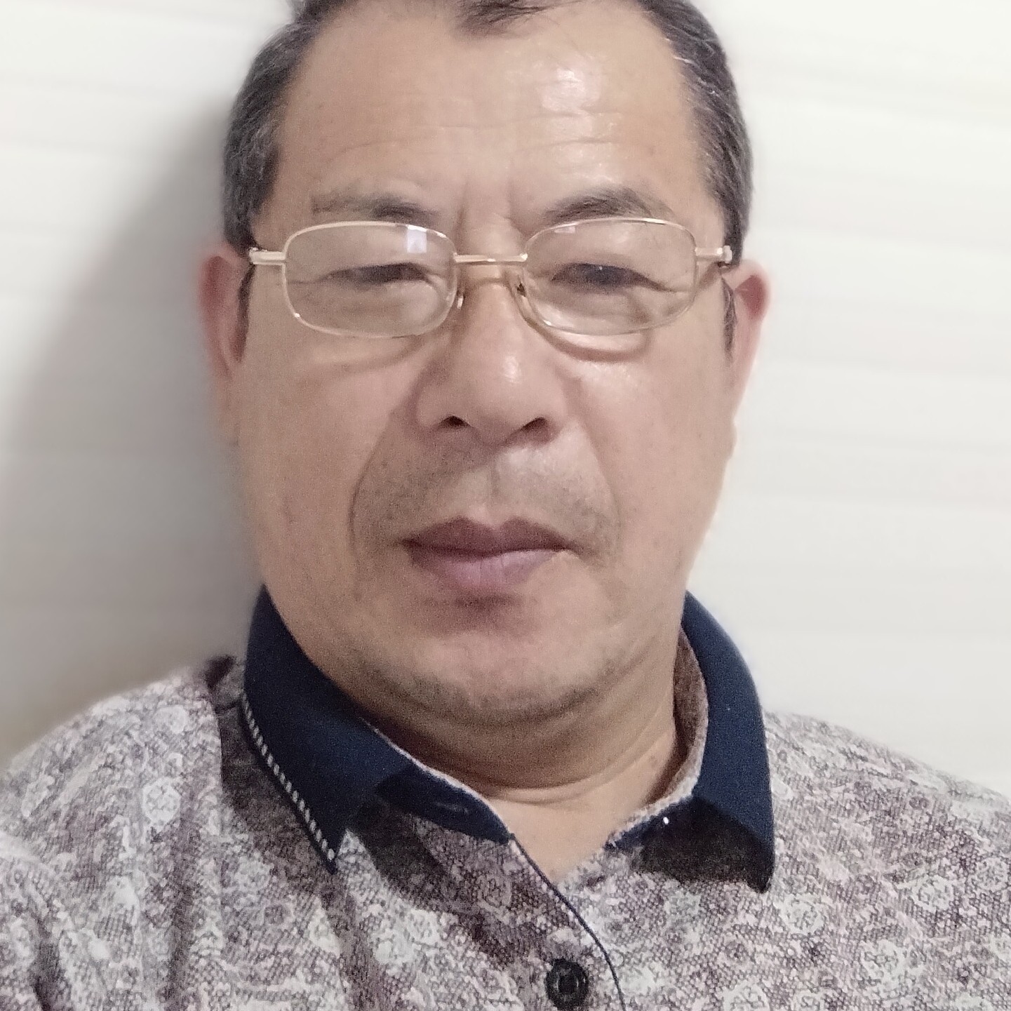 坚强漫步鸭子的照片
