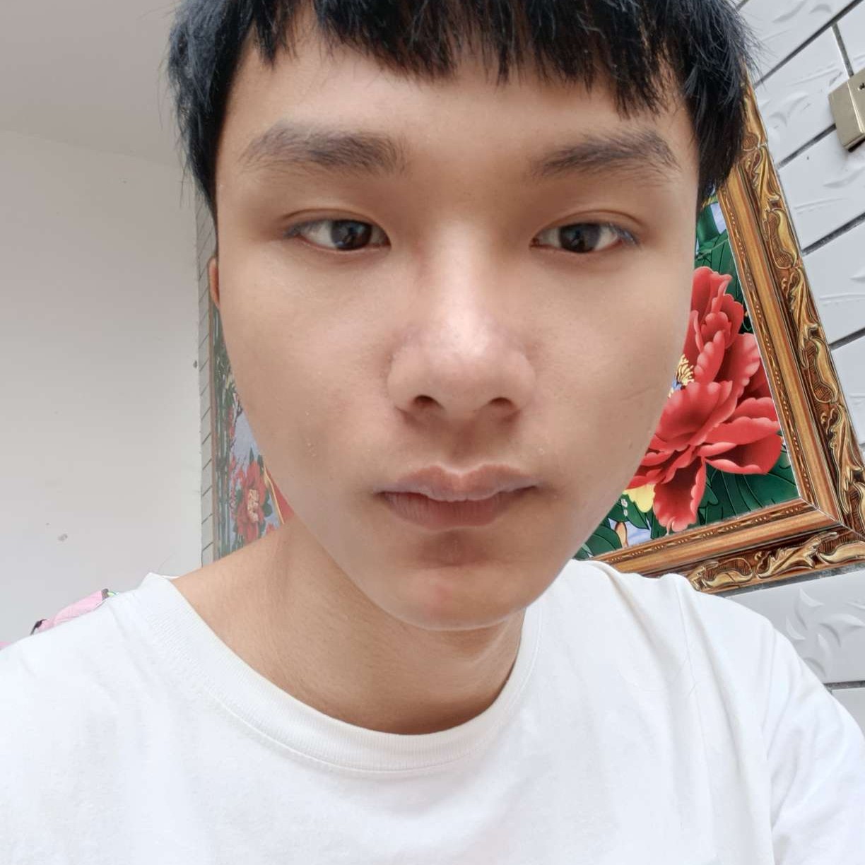 啤酒时尚12的照片