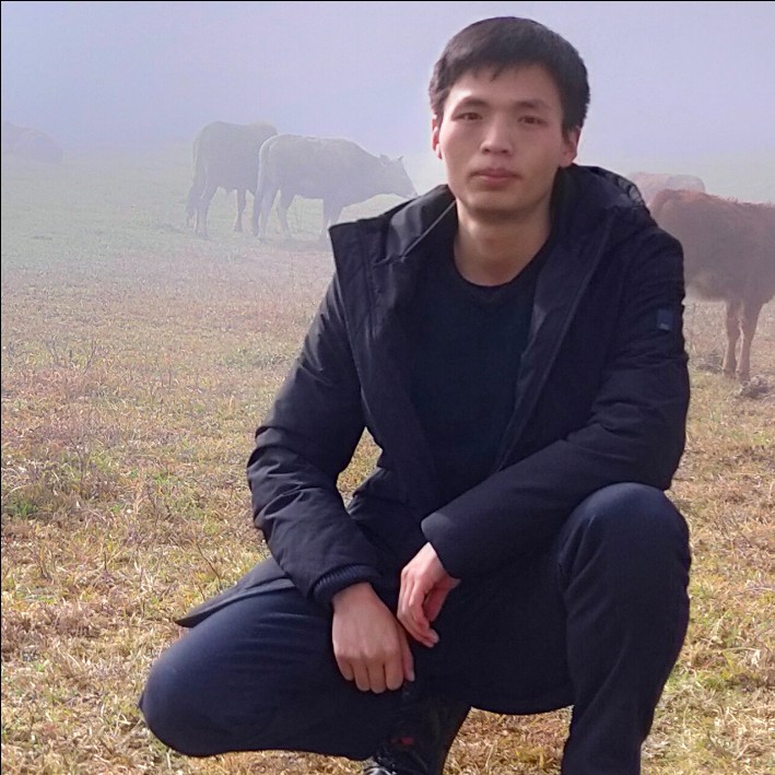 小鸽子吃醋孤独的照片
