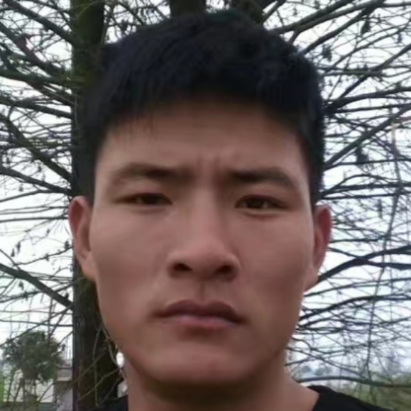 伴你走远的照片