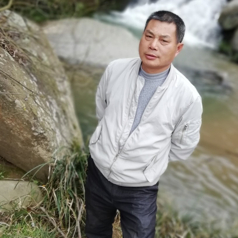 简单迎天空的照片