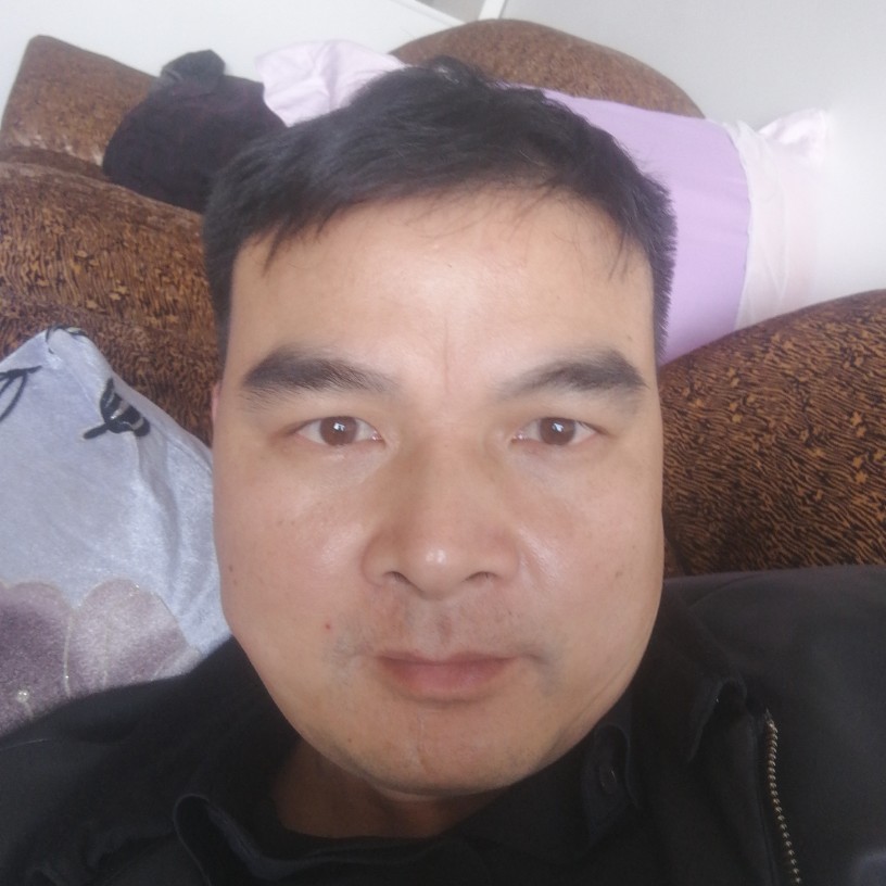 鞋垫改变独特的照片
