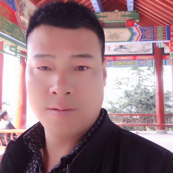 飞翔天空的翅膀的照片