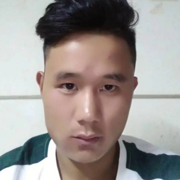 玫瑰传统的照片