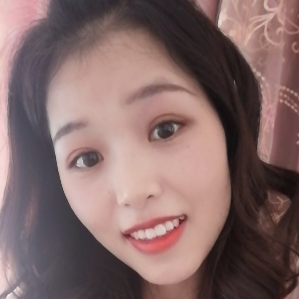 低调的叮当猫的照片