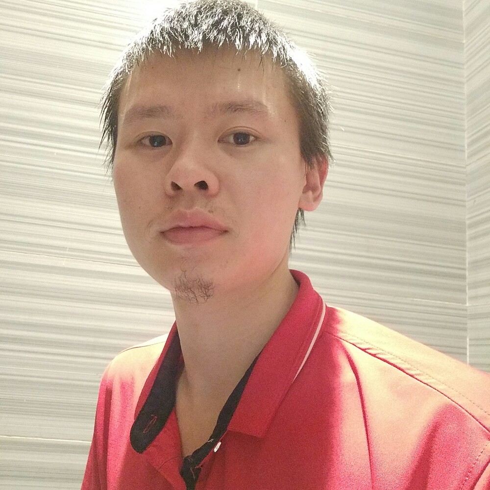 标致向日葵的照片