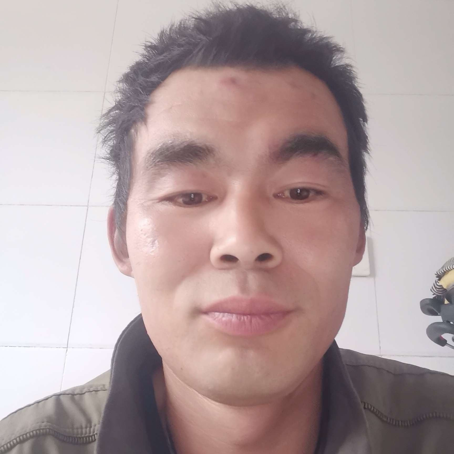 冬天迎自然的照片