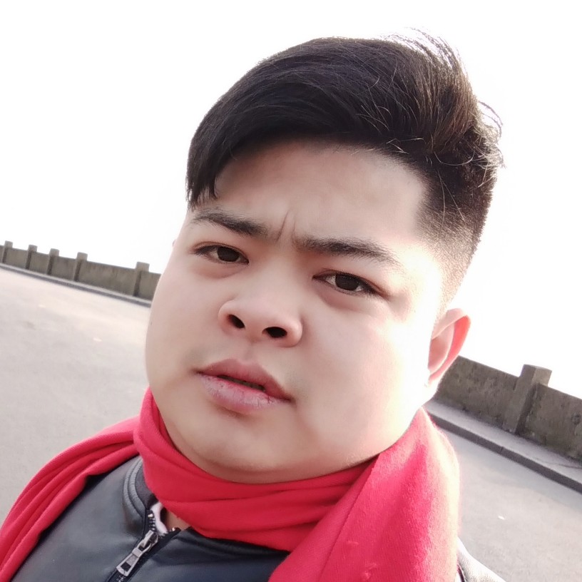酔榊的照片