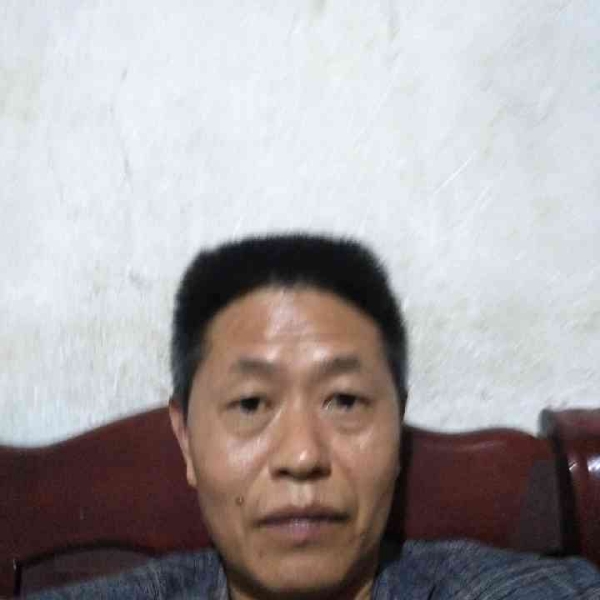 彪壮泪了蛋挞的照片