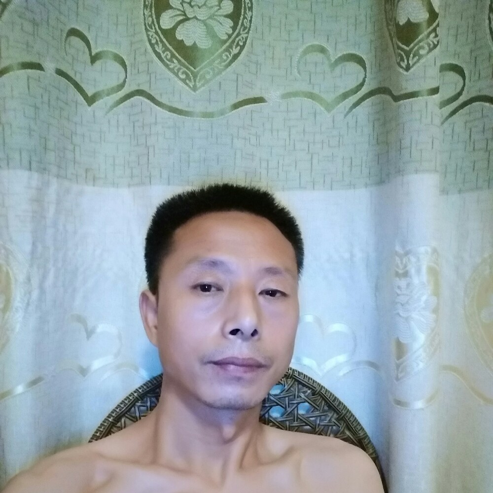 安静邂逅大雁的照片