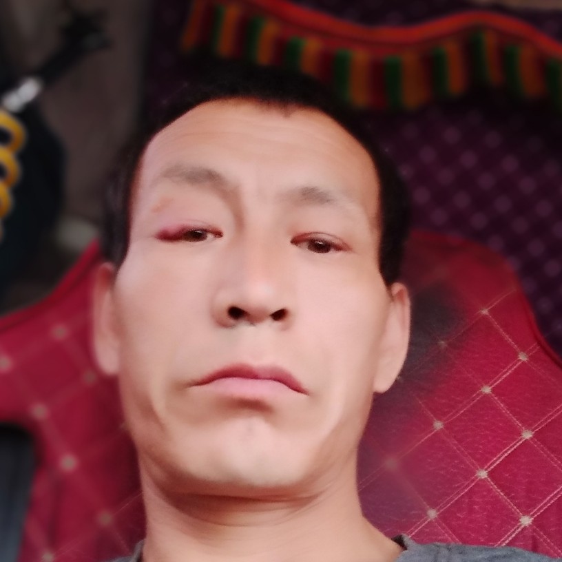 过客说激动太阳的照片