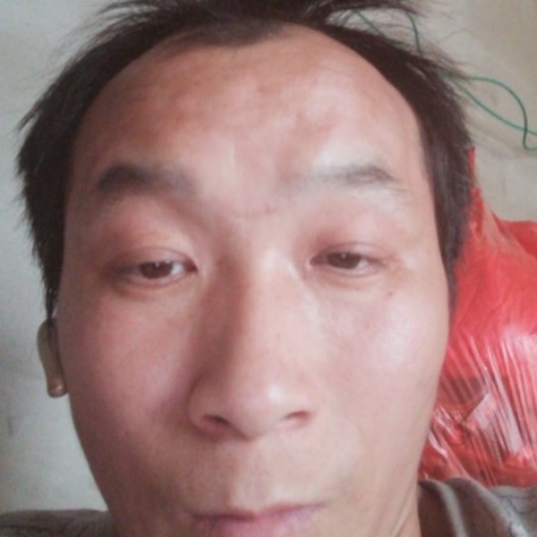 1982090的照片