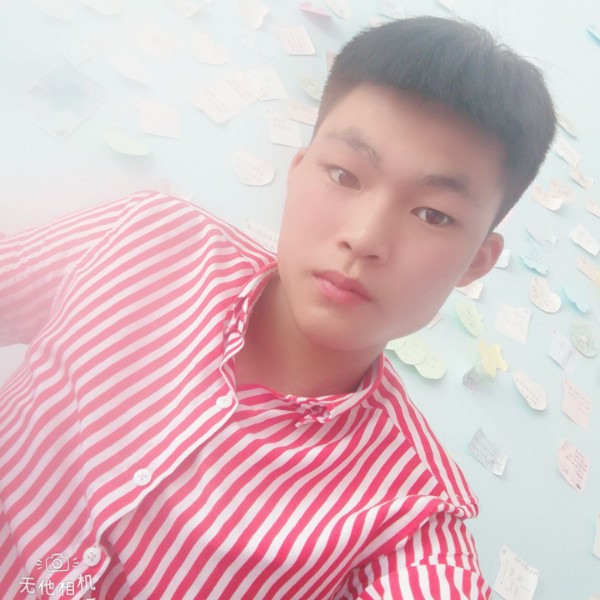 张先生...的照片