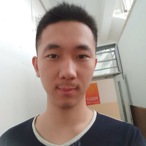 蝴蝶结的照片
