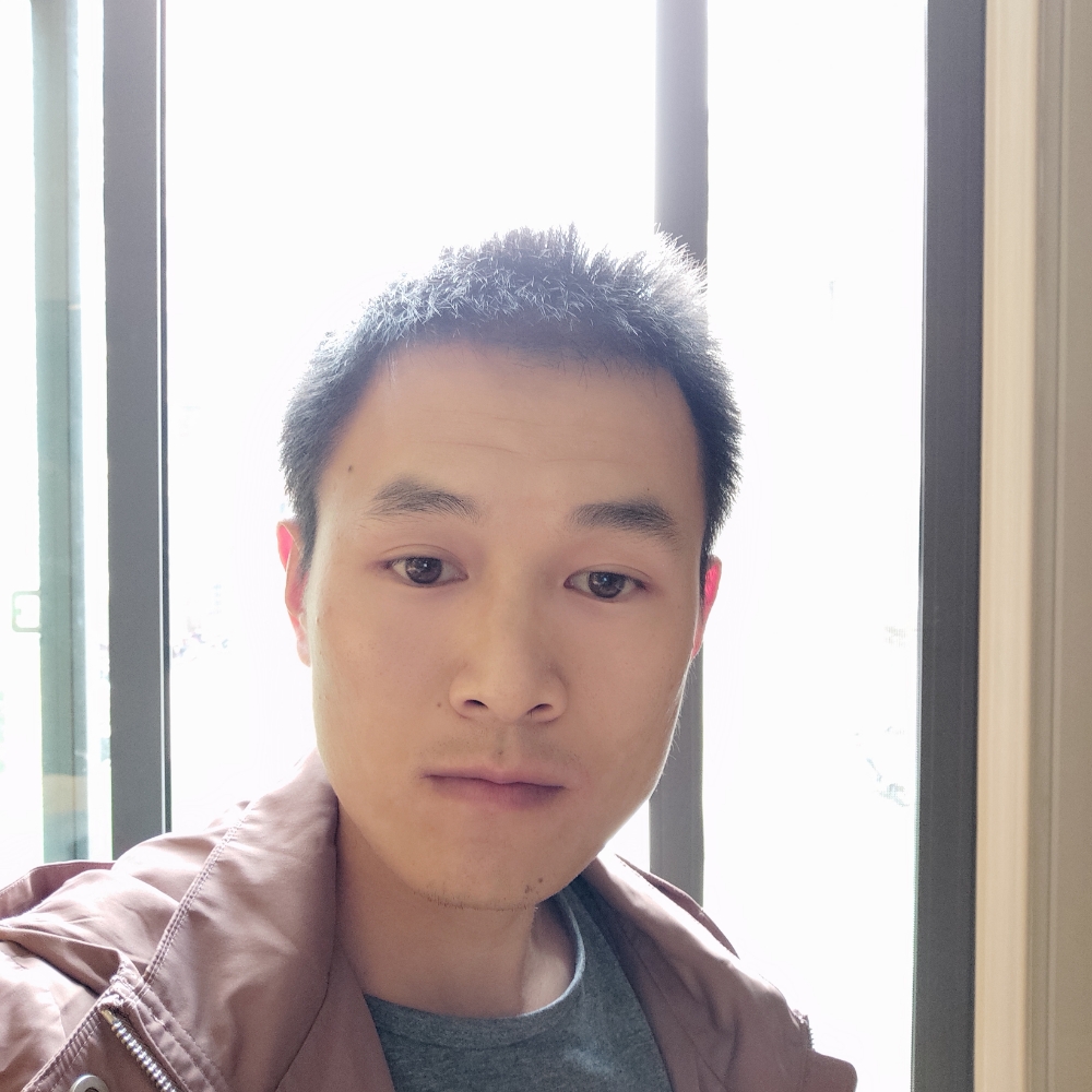 完美浅吻小海豚的照片