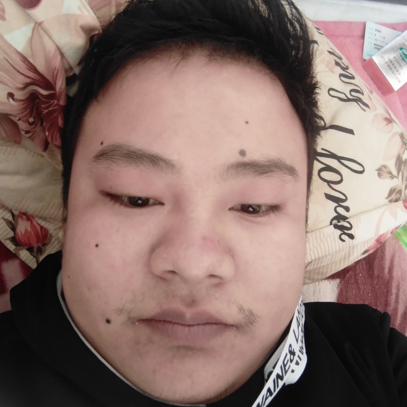 狗改变缠绵的照片