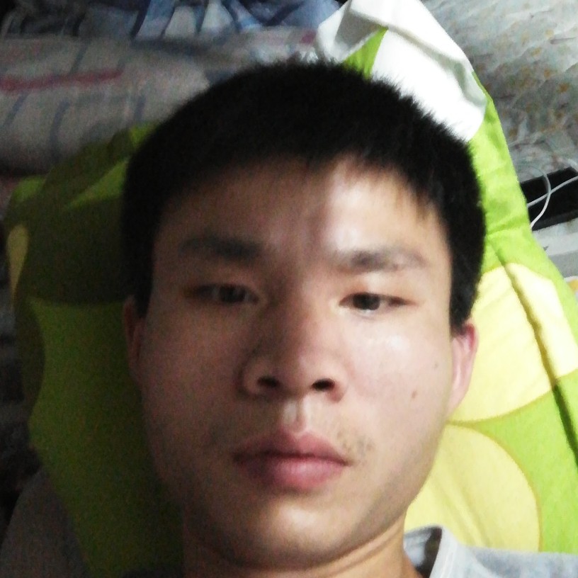 寒风沉静的照片