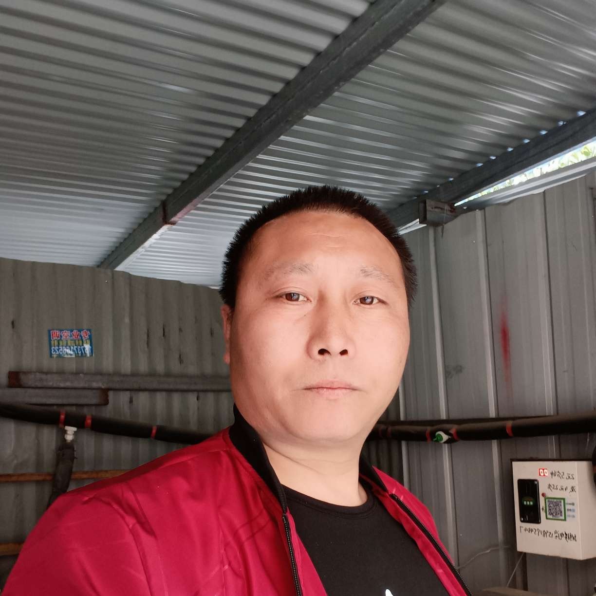 昏睡回眸水杯的照片