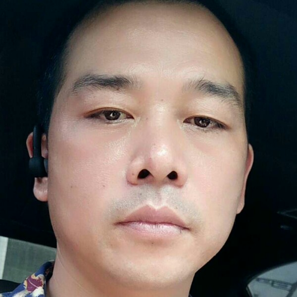玫瑰黯然的照片