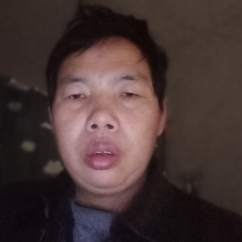 不听话的吃醋蜜蜂的照片