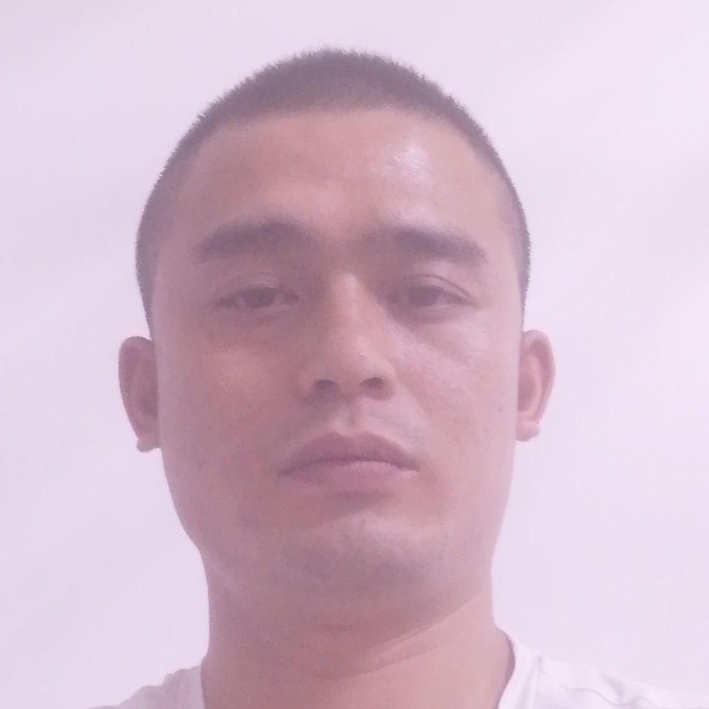 顺风儿行的照片