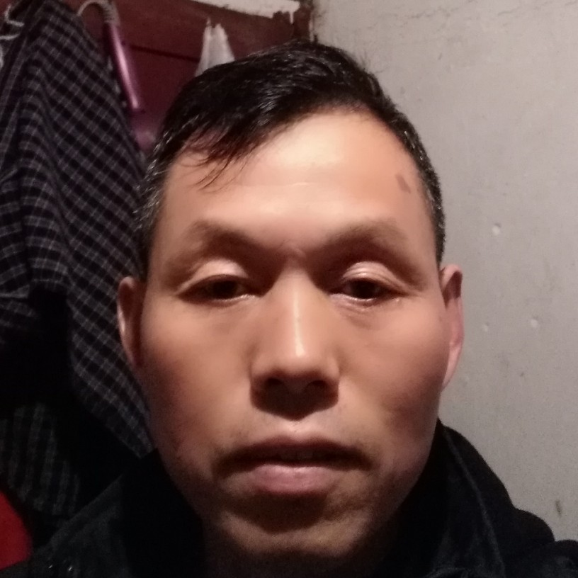 在阳光下相遇的照片