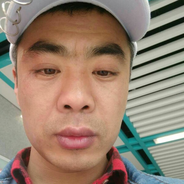 華麗回眸寒风的照片