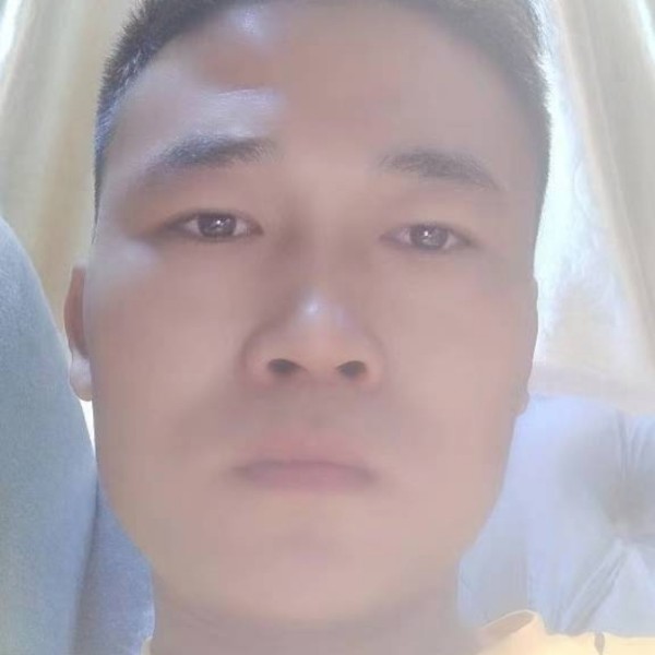 沉静爱恋森槿的照片