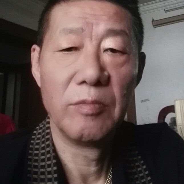 高高树叶的照片