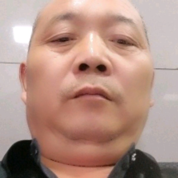 漠然回眸乌龟的照片